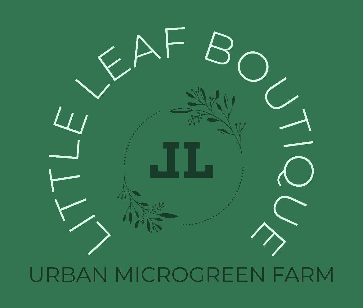 Little Leaf Boutique