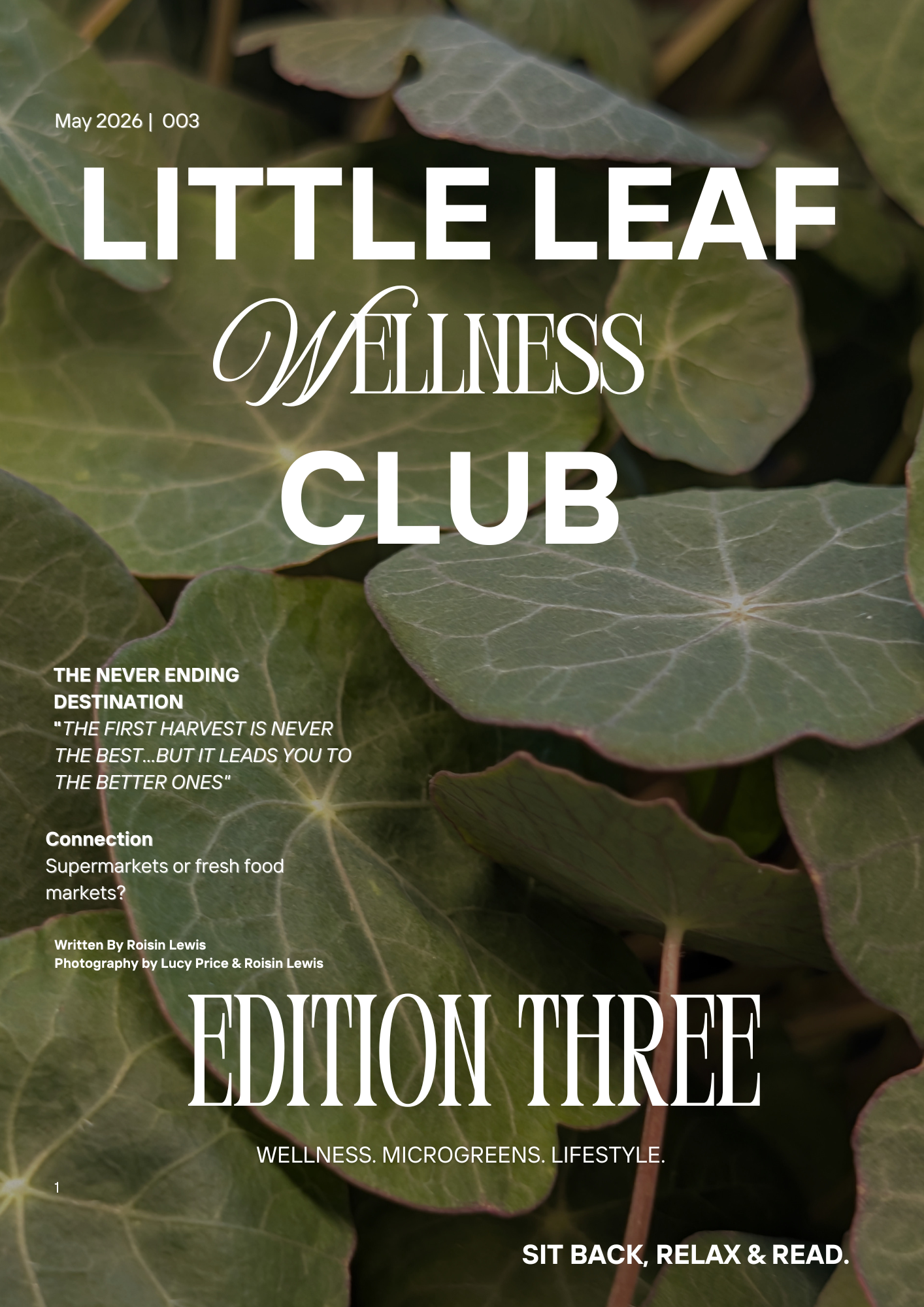 Edition Three - Little Leaf Wellness Magazine