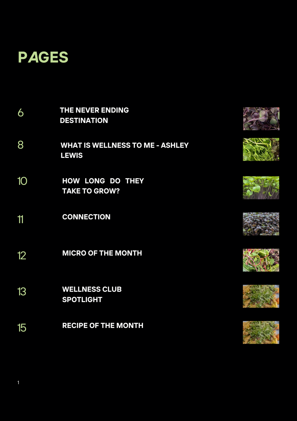 Edition Three - Little Leaf Wellness Magazine
