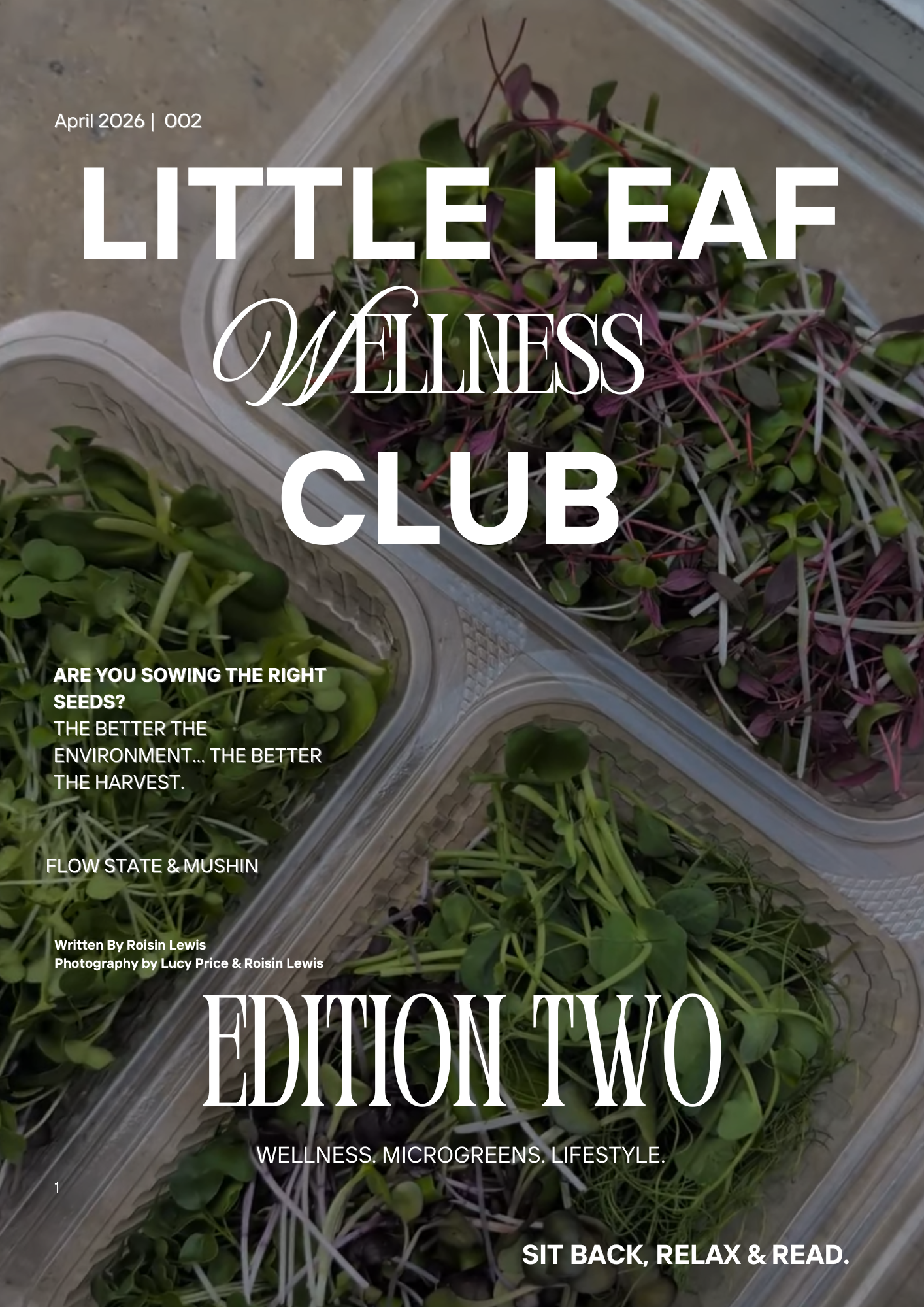 Little Leaf Wellness Magazine | EDITION TWO